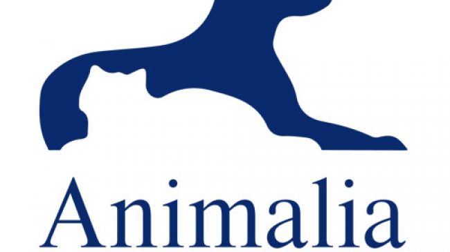 Animalia Vet Clinic