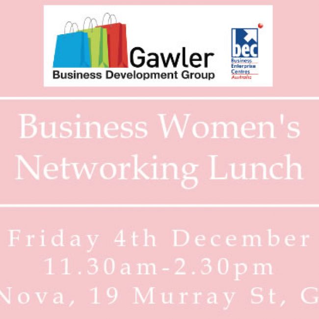 Business Women&#8217;s Networking Lunch
