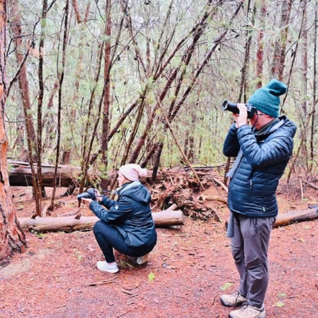 Gawler Nature Photo Walk