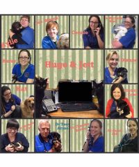 Gawler Veterinary Services