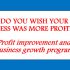 Profit Improvement and Business Growth Program