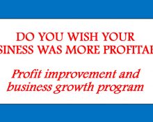 Profit Improvement and Business Growth Program