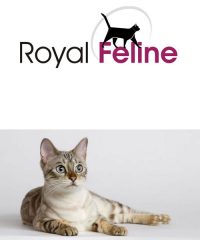 Royal Feline