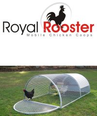 Royal Rooster