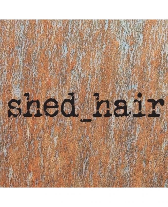 Shed Hair by Anthony Johns